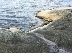 Rochers polis sur l'îlot de Skälåker.