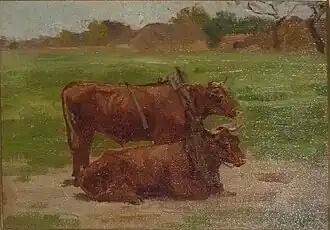 Bœufs sous le joug.