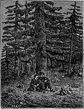 Seuls la nuit dans la forêt.