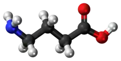 Image illustrative de l’article Acide γ-aminobutyrique