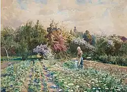 Champ de fleurs à Visby
