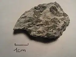 Gabbro vert.