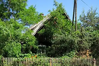 Gaczyska