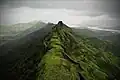Le fort
