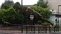 Le T-Rex 2019