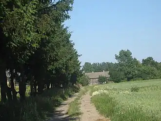 Gajewniki-Kolonia