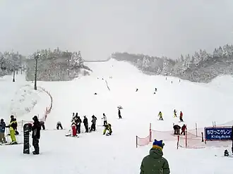 Yuzawa (Niigata)