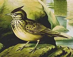 Illustration.