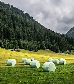 Ensilage dans un champ à Galtür. Juillet 2017.