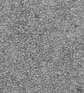 Granulation solaire en N&B.