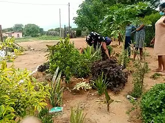 Mmankgodi