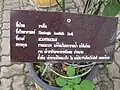 Panneau descriptif en langue siamoise (thaï).