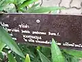 Panneau descriptif en langue thaï.