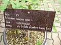 Panneau descriptif en langue siamoise.