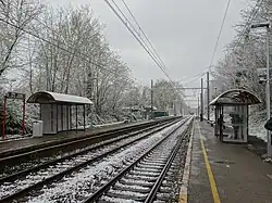 Sous la neige.