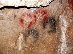 Grotte de Gargas.