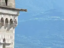 Une gargouille.