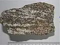 Gneiss.