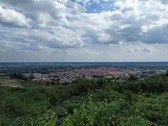 Gattinara