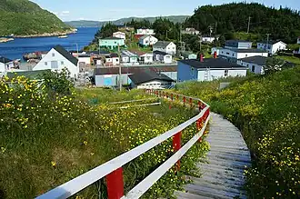 Gaultois