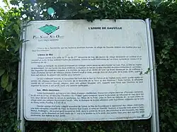 L'arbre de mai.