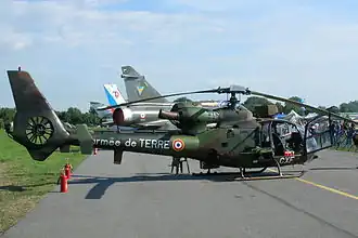 Gazelle, 2005