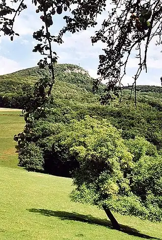 Vue du plateau.