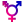 icône décorative