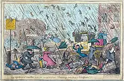 image humoristique d'une pluie d'animaux.