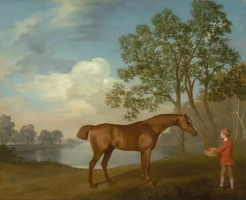 Pumpkin avec un garçon d'écurie, George Stubbs, 1774.
