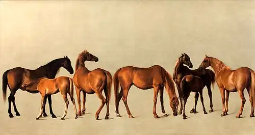 Juments et poulains (Mares and foals), George Stubbs, 1762.