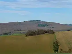 Bois Rougeon.