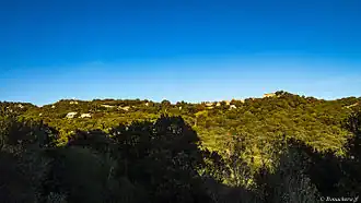 Giuncheto