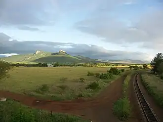Mkuze