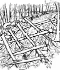 Abattis géant, fait d'arbres entiers, créant un obstacle anti-véhicule.