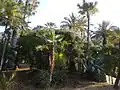 Vue intérieure des jardins Winter