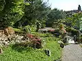 Le jardin japonais.