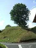Versant est de la motte castrale.