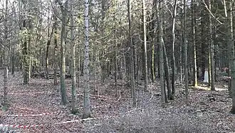 Gibet de Creuë