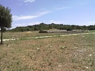 Image illustrative de l’article Parc archéologique du Mont Sannace