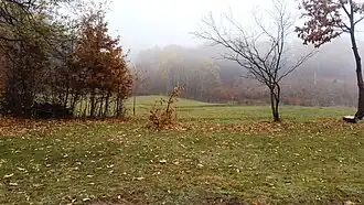 Đuriševce