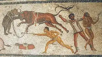 Venationes : le taureau.