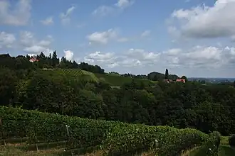 Glanz an der Weinstraße