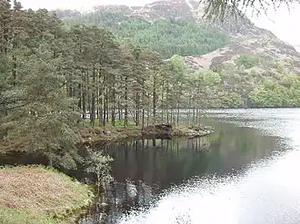 Image illustrative de l’article Loch Trool