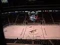 La patinoire des Coyotes