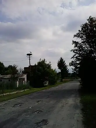 Zamszany