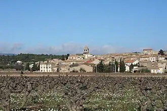Image illustrative de l’article Coteaux-de-peyriac