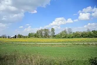 Godlewo-Piętaki