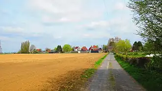 Le chemin.