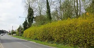 Gœgnies-Chaussée